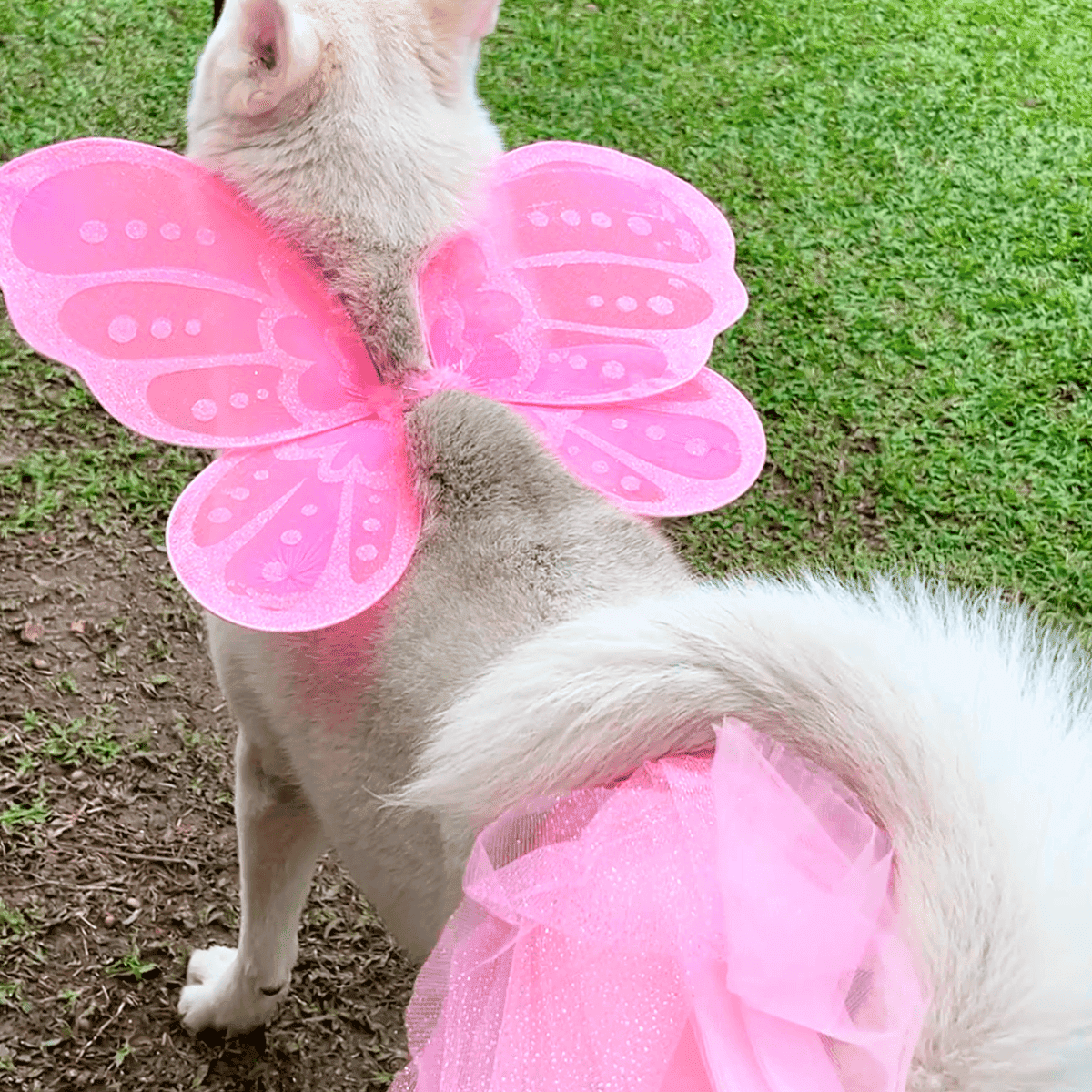 Miniatura 3 de Disfraz Mascota Hada Tutu OF-1507PET